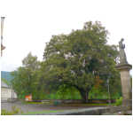 foto/P1100407w.jpg